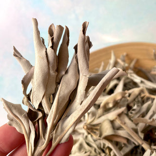 WHITE SAGE LOOSE Smudge Stick The Crystal Avenues