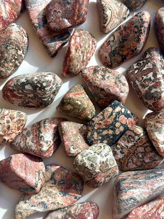 LEOPARD JASPER TUMBLE STONE