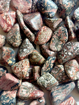 LEOPARD JASPER TUMBLE STONE