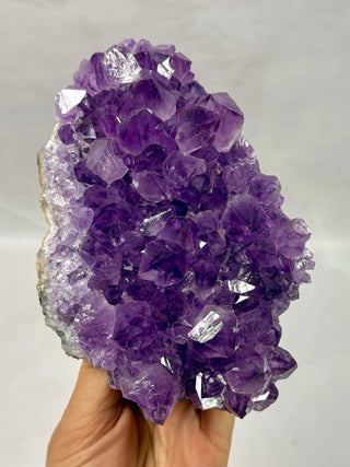 AMETHYST CLUSTER - EXCLUSIVE QUALITY (F)