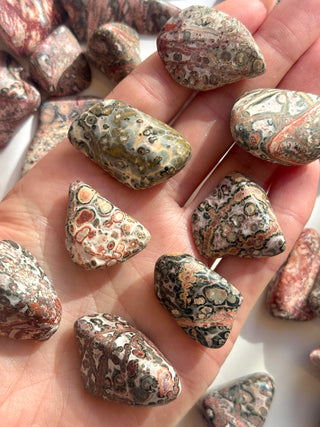 LEOPARD JASPER TUMBLE STONE