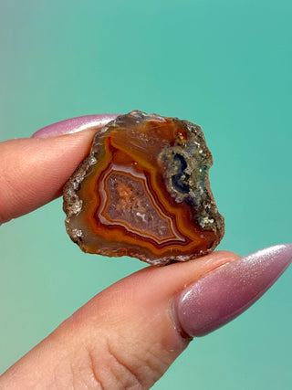 ALIMAJO AGATE GEODE - MALAWI (13) Geode The Crystal Avenues 