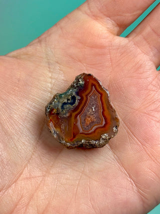 ALIMAJO AGATE GEODE - MALAWI (13) Geode The Crystal Avenues 