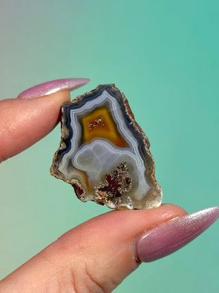 ALIMAJO AGATE GEODE - MALAWI (17) Geode The Crystal Avenues 