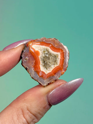 ALIMAJO AGATE GEODE - MALAWI (18) Geode The Crystal Avenues 