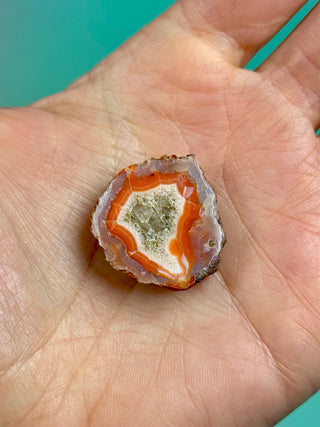 ALIMAJO AGATE GEODE - MALAWI (18) Geode The Crystal Avenues 