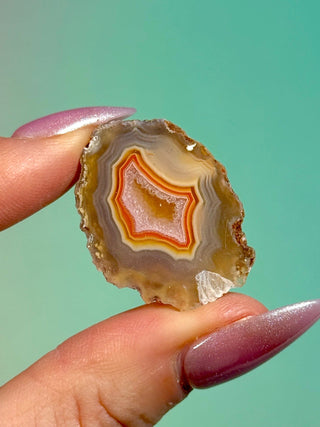 ALIMAJO AGATE GEODE - MALAWI (19) Geode The Crystal Avenues 