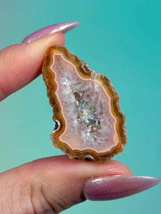 ALIMAJO AGATE GEODE - MALAWI (5) Geode The Crystal Avenues 