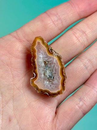 ALIMAJO AGATE GEODE - MALAWI (5) Geode The Crystal Avenues 