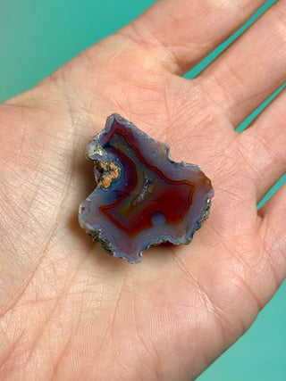 ALIMAJO AGATE GEODE - MALAWI (8) Geode The Crystal Avenues 