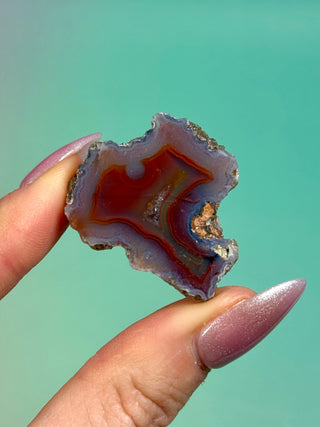 ALIMAJO AGATE GEODE - MALAWI (8) Geode The Crystal Avenues 