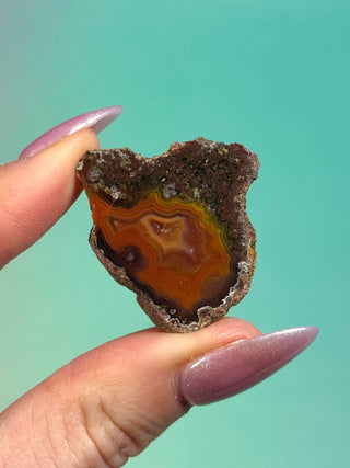 ALIMAJO AGATE GEODE - MALAWI (9) Geode The Crystal Avenues 