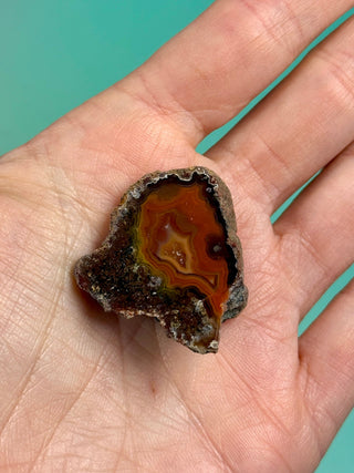 ALIMAJO AGATE GEODE - MALAWI (9) Geode The Crystal Avenues 