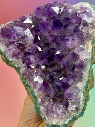 AMETHYST CLUSTER (1) Druze The Crystal Avenues 