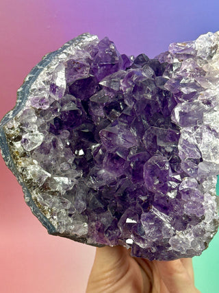 AMETHYST CLUSTER (10) Druze The Crystal Avenues 