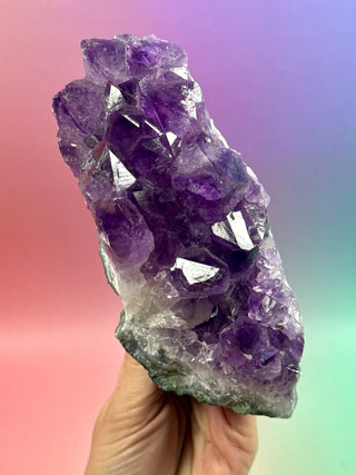 AMETHYST CLUSTER (11) Druze The Crystal Avenues 