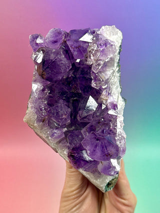 AMETHYST CLUSTER (12) Druze The Crystal Avenues 