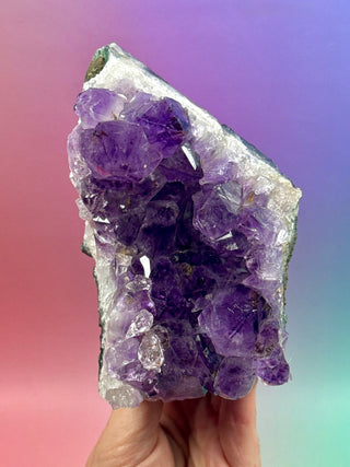 AMETHYST CLUSTER (12) Druze The Crystal Avenues 