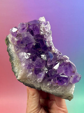 AMETHYST CLUSTER (12) Druze The Crystal Avenues 
