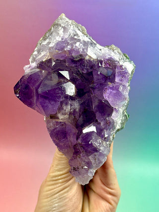 AMETHYST CLUSTER (13) Druze The Crystal Avenues 