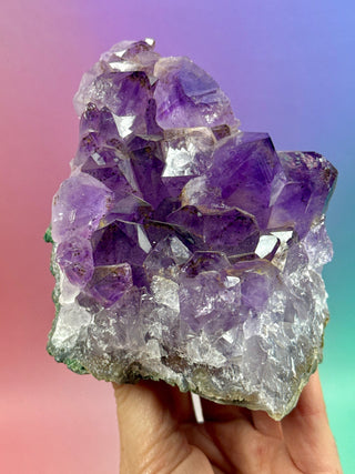 AMETHYST CLUSTER (13) Druze The Crystal Avenues 
