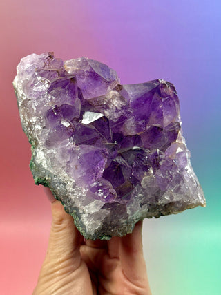 AMETHYST CLUSTER (13) Druze The Crystal Avenues 
