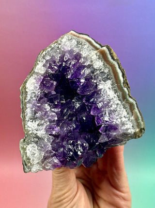AMETHYST CLUSTER (14) Druze The Crystal Avenues 