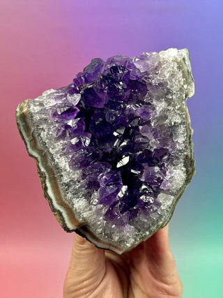 AMETHYST CLUSTER (14) Druze The Crystal Avenues 
