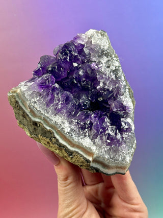 AMETHYST CLUSTER (14) Druze The Crystal Avenues 