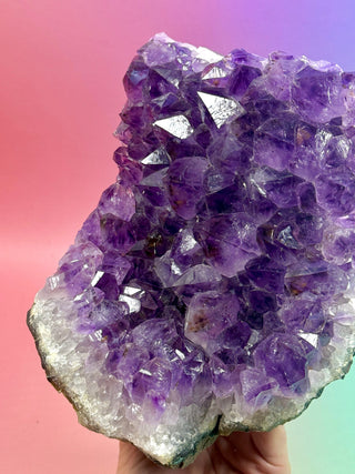 AMETHYST CLUSTER (2) Druze The Crystal Avenues 