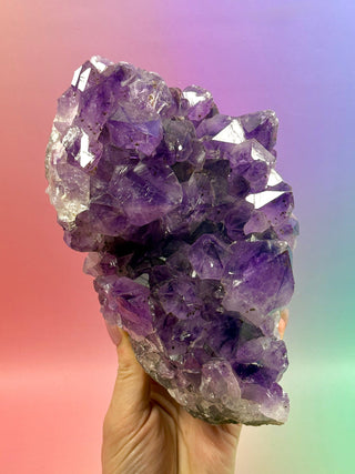 AMETHYST CLUSTER (4) Druze The Crystal Avenues 