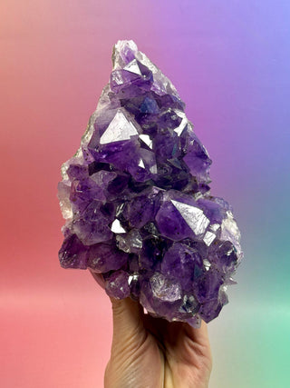 AMETHYST CLUSTER (4) Druze The Crystal Avenues 