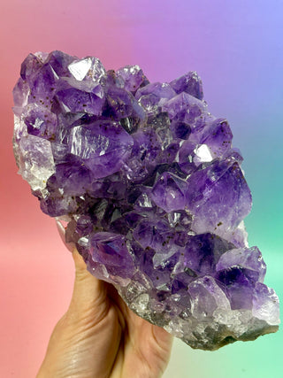 AMETHYST CLUSTER (4) Druze The Crystal Avenues 