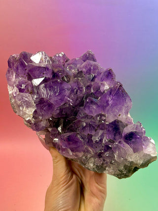 AMETHYST CLUSTER (4) Druze The Crystal Avenues 