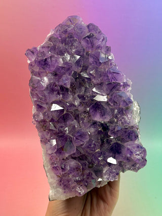 AMETHYST CLUSTER (5) Druze The Crystal Avenues 