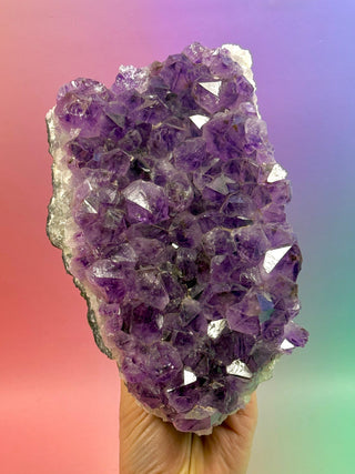 AMETHYST CLUSTER (5) Druze The Crystal Avenues 