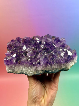 AMETHYST CLUSTER (5) Druze The Crystal Avenues 