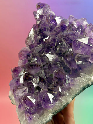 AMETHYST CLUSTER (6) Druze The Crystal Avenues 