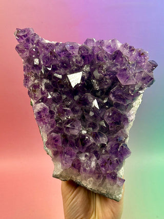 AMETHYST CLUSTER (6) Druze The Crystal Avenues 