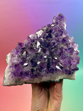 AMETHYST CLUSTER (6) Druze The Crystal Avenues 