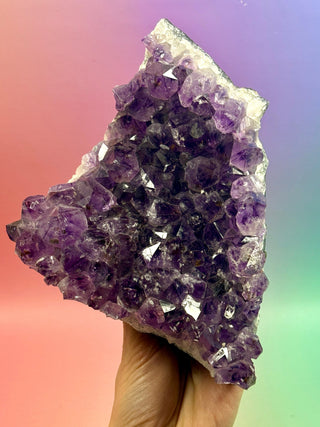 AMETHYST CLUSTER (6) Druze The Crystal Avenues 