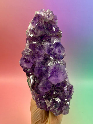 AMETHYST CLUSTER (7) Druze The Crystal Avenues 