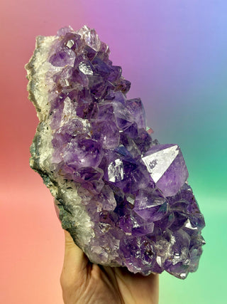 AMETHYST CLUSTER (7) Druze The Crystal Avenues 