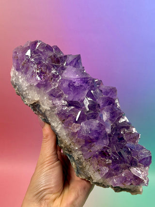 AMETHYST CLUSTER (7) Druze The Crystal Avenues 