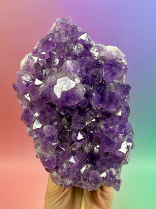 AMETHYST CLUSTER (8) Druze The Crystal Avenues 
