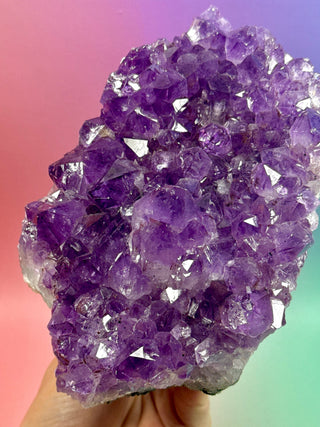AMETHYST CLUSTER (8) Druze The Crystal Avenues 