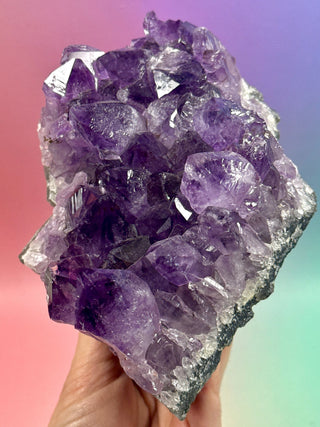 AMETHYST CLUSTER (9) Druze The Crystal Avenues 