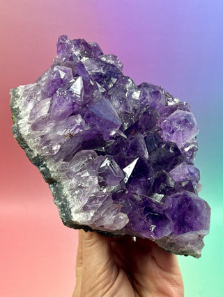 AMETHYST CLUSTER (9) Druze The Crystal Avenues 