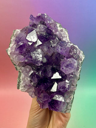 AMETHYST CLUSTER (9) Druze The Crystal Avenues 