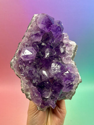 AMETHYST CLUSTER (9) Druze The Crystal Avenues 
